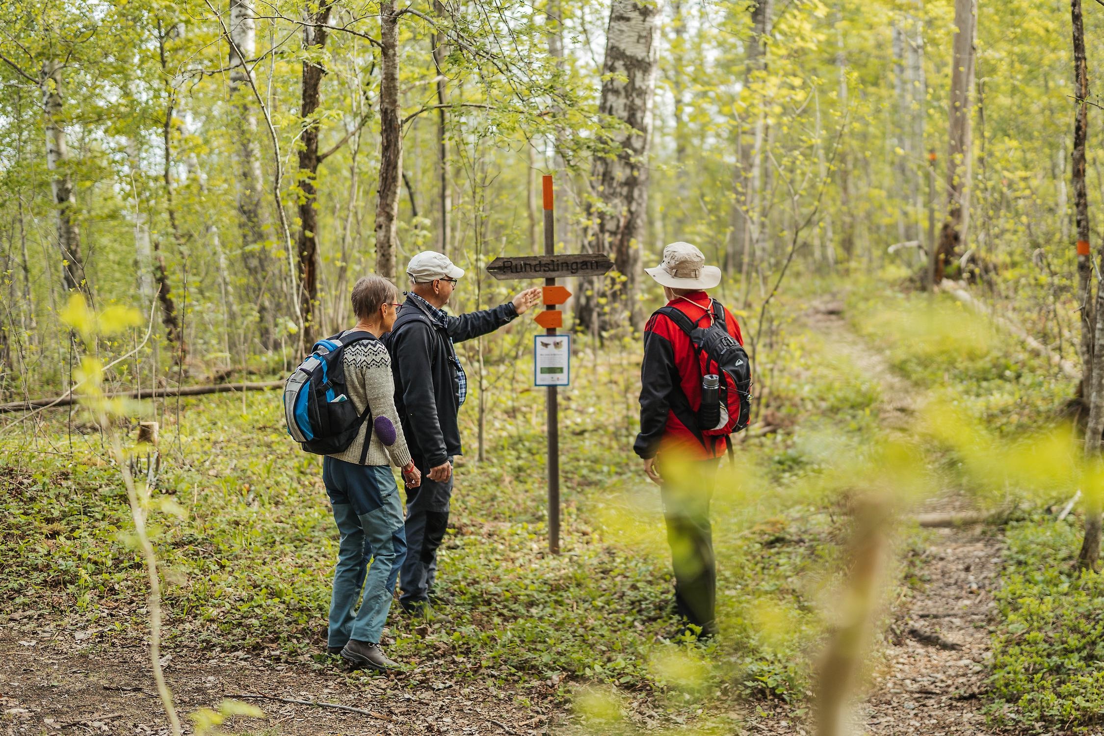 Tre personer som står vid en vandringsledsskylt i skogen.